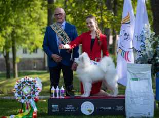 2023 Euroshow Bestbaby